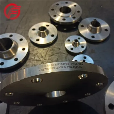 BL gr2 titanium flange BL gr2 titanium flange