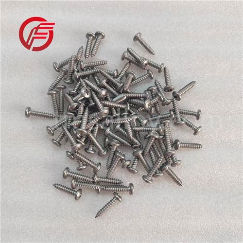 DIN7981 ISO7049 Gr2 Titanium Cross Recessed Pan Head Self-tapping Screws