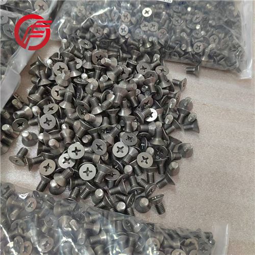 Gr2 Gr5 Cross Countersunk Titanium Screw